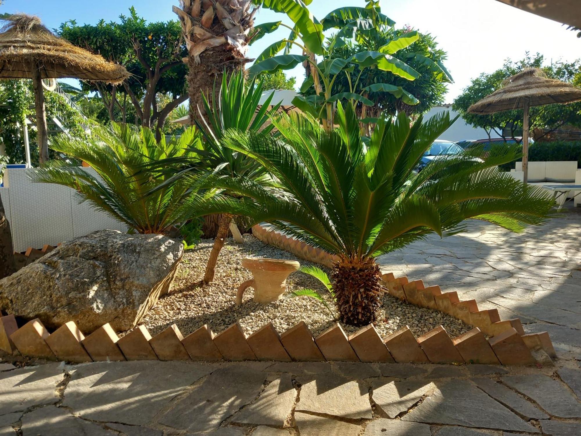 Appartamenti Tropea Gargano Parghelia Dış mekan fotoğraf